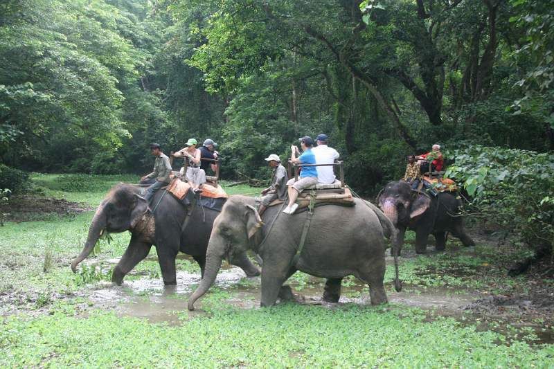 India & Nepal 2011 - 0548
